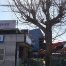 담을행정사사무소 이미지