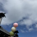 온천택시합명회사 | 회사에서 보내준 3박 4일 삿포로 여행 일기