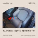 디자인에스제이 | 차량용허리쿠션 추천 에스제이스토리 자동차허리쿠션으로 장거리 운전 허리통증 해결 후기