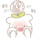 크런치데이 네이버블로그