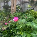 광덕한의원 이미지