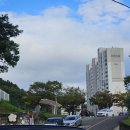 신인생도리탕 이미지