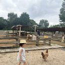 서운동산 | 하이떼오&#39;daily (아이가 너무 행복했다고 말했던 포천에 있는 서운동산 다녀온 후기.)