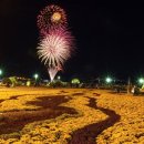 가고파플라워 이미지