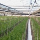 만경농장 이미지