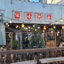 이면도로 | 불광역 소곱창맛집 솔직후기, 곱창주택 연예인 맛집 인증 사인많은 단골술집