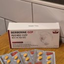 히든픽스 베르베린ozp 다이어트