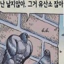 런투유 이미지