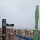 율포솔밭해변1 이미지