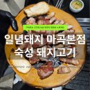 일념돼지마곡 | 마곡 고기집 추천｜구워줘서 편한 숙성 돼지고기 맛집 일념돼지 마곡점 후기