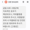 타이어프로 고령점 이미지