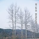 북 한강수변길 가평-강촌 구간; 춘천다산길 2구간 탐방............(전철 시리즈 제84탄) 이미지