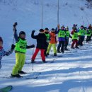 경희대태권도체육관 이미지