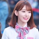 미야와키 사쿠라 카카오 검색결과