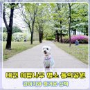 이팝미용 이미지