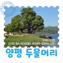 지에스25 S유성온천역점 | 경기도 가볼만한곳 서울근교인 양평 두물머리 연핫도그 주차 한바퀴둘러보기