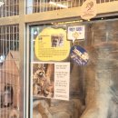 [학습카페] 타로카드로 나를 탐색한다 | 오산버드파크 주차장 할인 아이와 가볼만한 곳(실내체험)