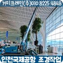 거미조경 이미지