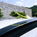 천문어린이공원 | 포천 아이와 가볼 만한 곳 아트밸리 입장료 모노레일 가격 천문과학관 천주호 조각공원 후기