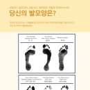 굿피트 이미지