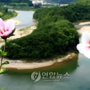 한반도면-11 연합뉴스