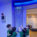 위즈캐슬 이미지