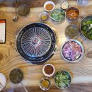 장수갈매기 이미지