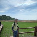 [겨울]논리바둑 | 부모님과 함께 다녀온 당일치기 전남 순천 여행기 2부
