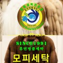 로얄손세탁 이미지