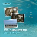 보배성팬션 | [강원도/고성] 스노클링 2박3일 여행코스 추천｜대진항 해상공원