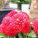 문곡농장 이미지