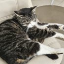 네바퀴순천점 이미지