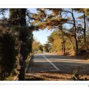 법흥3리 이미지