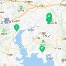 벚꽃로 가로수길 이미지