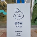 퐁주르 네이버블로그