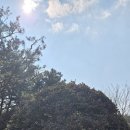 벙커202 | ⛳ 부산 1박2일 골프여행 후기｜동래베네스트 CC 18홀 코스 공략 및 홀별 거리 정리