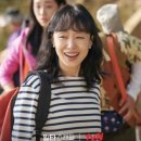 레인헤어비스