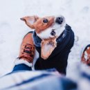 호서농장 이미지