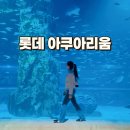 롯데월드아쿠아리움 | 롯데 월드타워 아쿠아리움 후기 잠실 31% 카드 할인