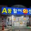 종일활어 이미지