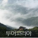 고종화 | 담양군,관광객 700만 도시 도약 ‘잰걸음’