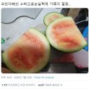 달쥬과일상점 이미지