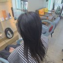 도도헤어(dodohair) | 평창,진부미용실[도도헤어] 트렌디한 레이어드펌으로 분위기변신