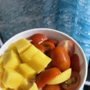 [강동구 상일동]🍨 요거트아이스크림의 정석 상일점 배민 후기 | 토마토아이스크림 내돈내산솔직리뷰...