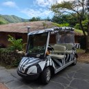 호텔포레 | 동물원을 품은 호텔드포레 스위트 후기