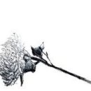 시민장례식장 이미지