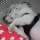 살롱드레오 이미지