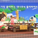 루시캔디