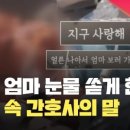 참인성 이미지