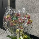 남성~영전 이미지